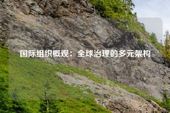 国际组织概观：全球治理的多元架构