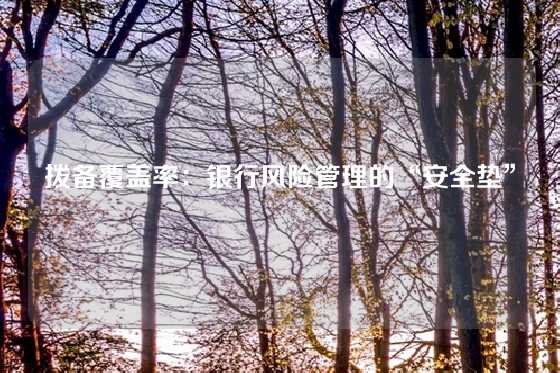 拨备覆盖率：银行风险管理的“安全垫”