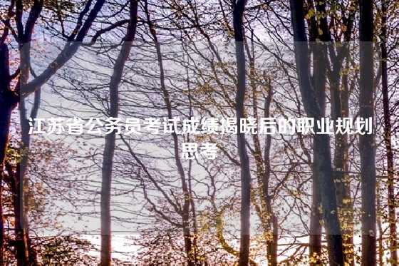 江苏省公务员考试成绩揭晓后的职业规划思考