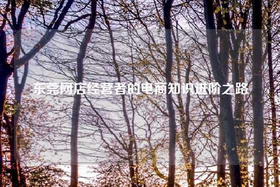 东莞网店经营者的电商知识进阶之路