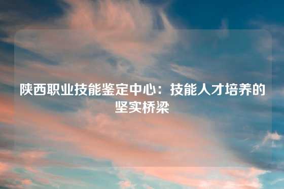 陕西职业技能鉴定中心：技能人才培养的坚实桥梁