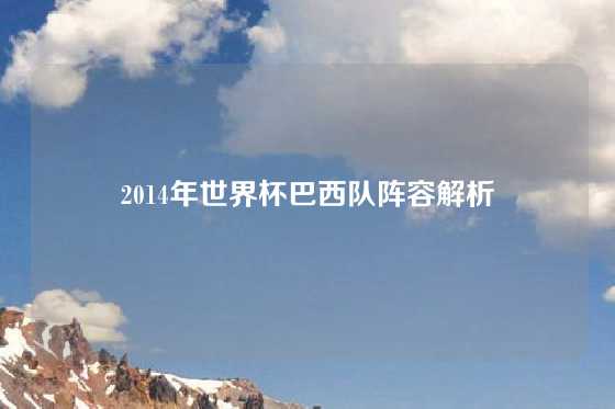 2014年世界杯巴西队阵容解析