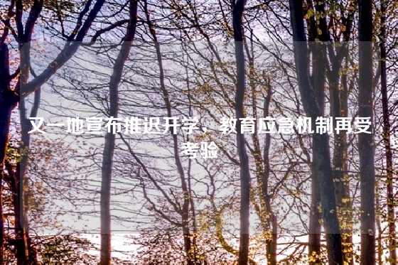 又一地宣布推迟开学，教育应急机制再受考验