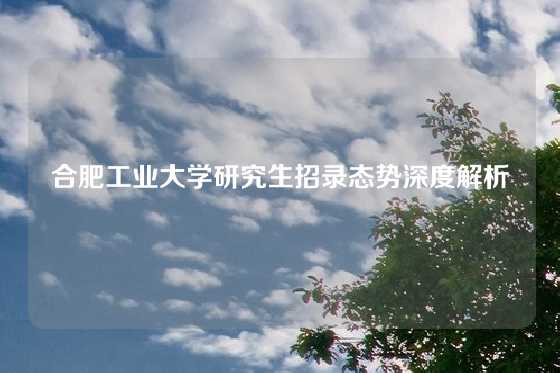 合肥工业大学研究生招录态势深度解析