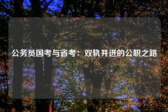公务员国考与省考:双轨并进的公职之路