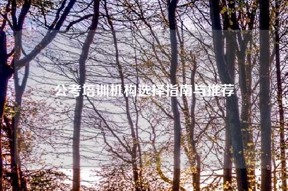 公考培训机构选择指南与推荐