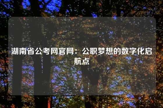 湖南省公考网官网:公职梦想的数字化启航点