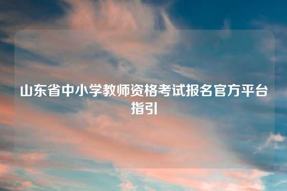 山东省中小学教师资格考试报名官方平台指引