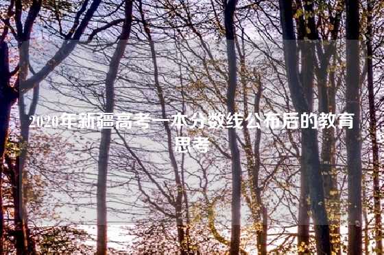 2020年新疆高考一本分数线公布后的教育思考