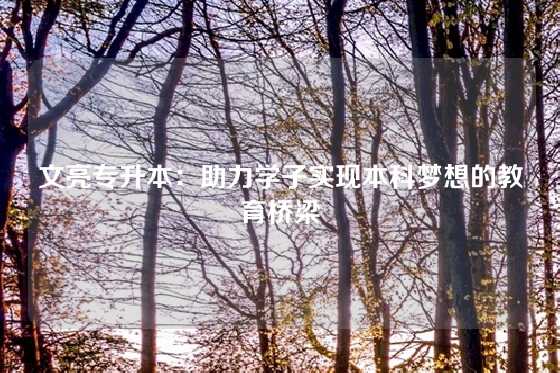 文亮专升本：助力学子实现本科梦想的教育桥梁