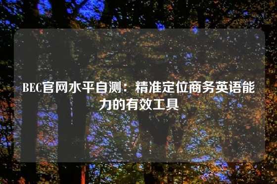 BEC官网水平自测：精准定位商务英语能力的有效工具