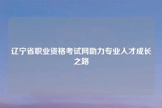 辽宁省职业资格考试网助力专业人才成长之路