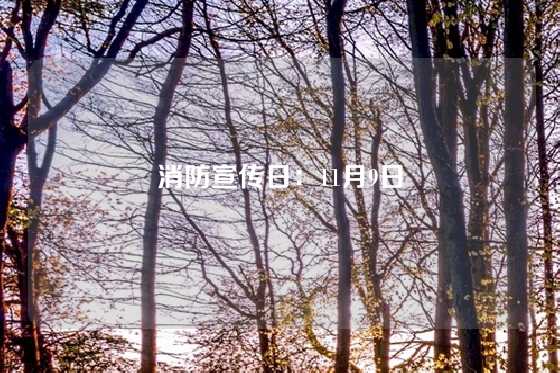 消防宣传日:11月9日