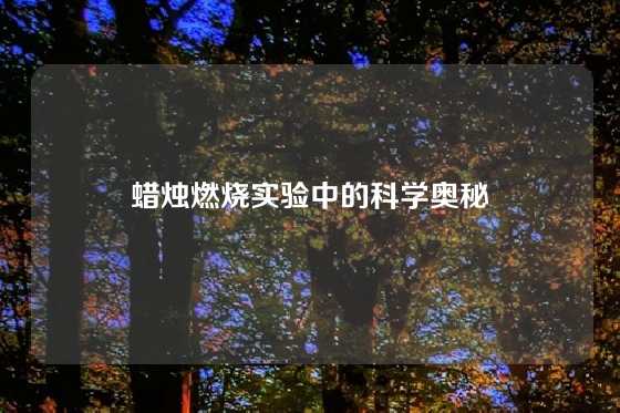 蜡烛燃烧实验中的科学奥秘