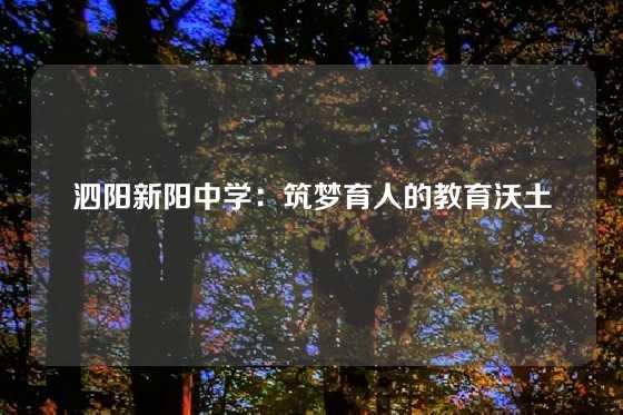 泗阳新阳中学：筑梦育人的教育沃土