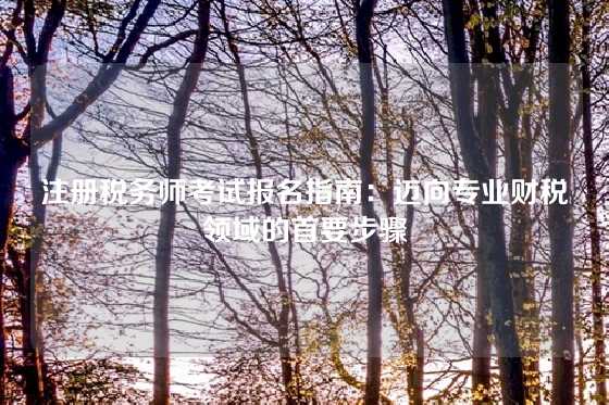 注册税务师考试报名指南：迈向专业财税领域的首要步骤