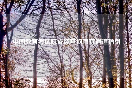 中国教育考试院成绩查询官方通道指引