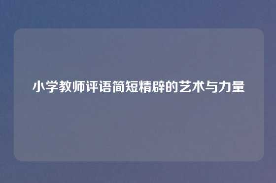 小学教师评语简短精辟的艺术与力量