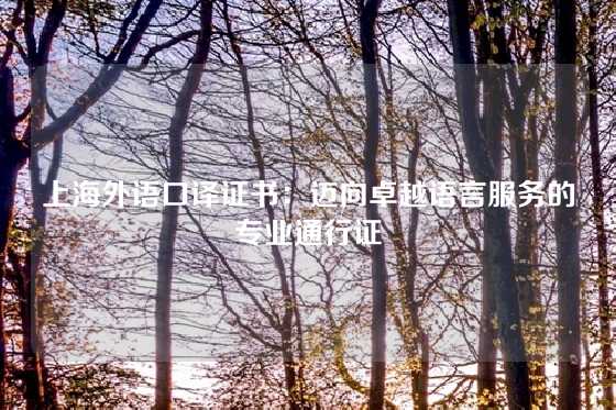 上海外语口译证书：迈向卓越语言服务的专业通行证