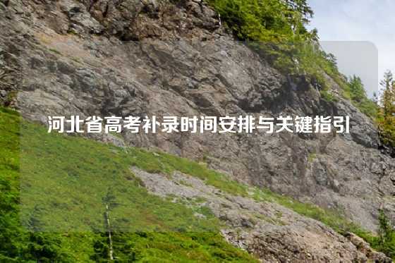 河北省高考补录时间安排与关键指引