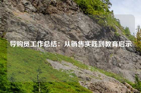 导购员工作总结：从销售实践到教育启示