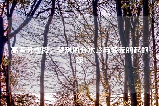 高考分数段：梦想的分水岭与多元的起跑线