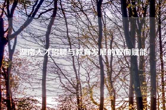 湖南人才招聘与教育发展的双向赋能