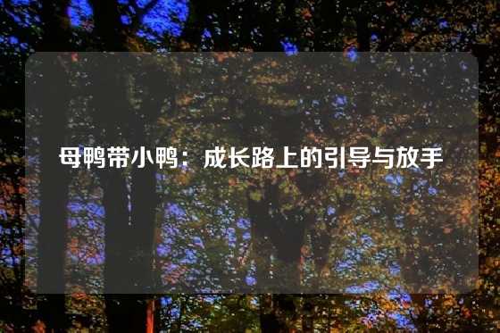 母鸭带小鸭：成长路上的引导与放手