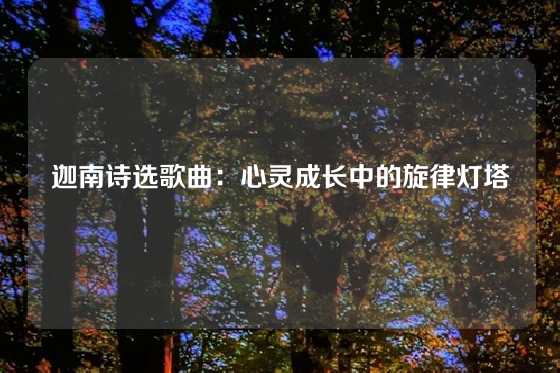 迦南诗选歌曲：心灵成长中的旋律灯塔