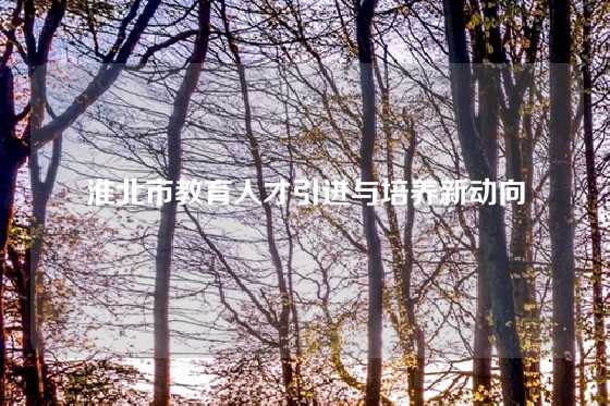 淮北市教育人才引进与培养新动向